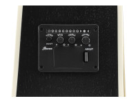 Ibanez PF16MWCE-WK Ibanez PF16MWCE-WK